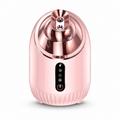 Hot & Cool Nano Facial Steamer